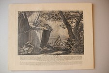 Retirage XIXe d'une gravure de RIDINGER (XVIIIe). " L'entrée du loup....."