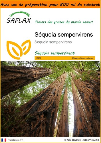 Saflax jardin dans sac - jardin, le