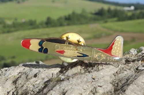Rare vintage pin model - rare,