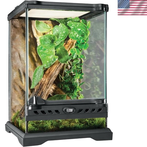 Compact glass terrarium - compact,