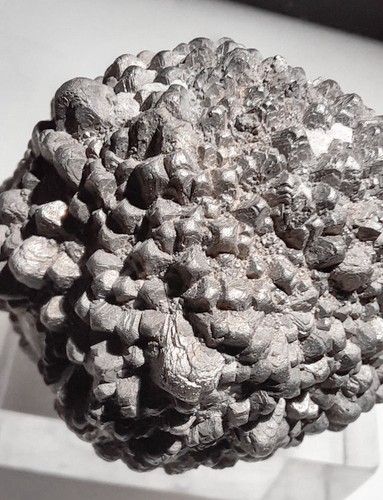 Collections mineraux fossiles - collections,