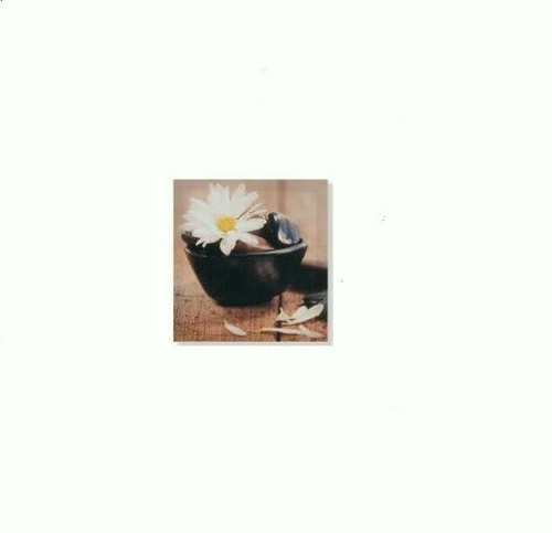 Cadre toile tableau zen galet