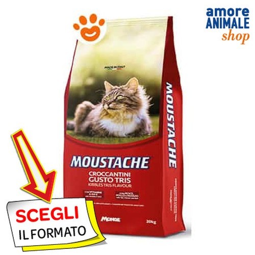 Monge chat moustache - monge,