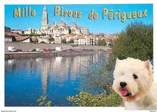 Carte Postale - Animaux -