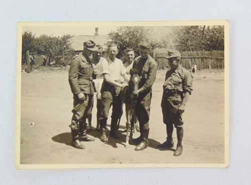 Photo afrikakorps allemand - photo,