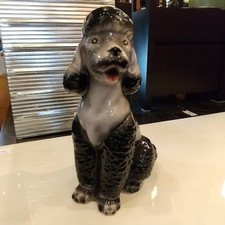 ♪capodimonte caniche