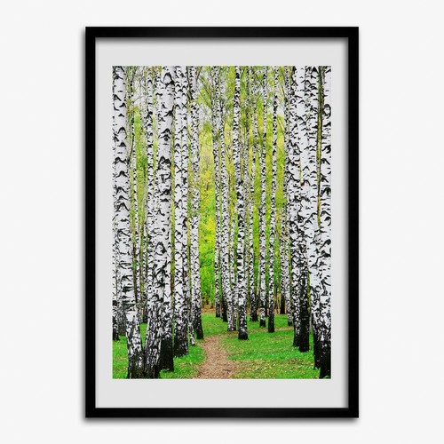 Photo 50x70cm mdf cadre - photo,