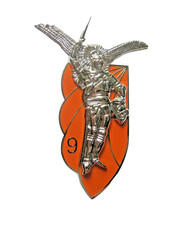 CHASSEURS PARACHUTISTES DU 9°