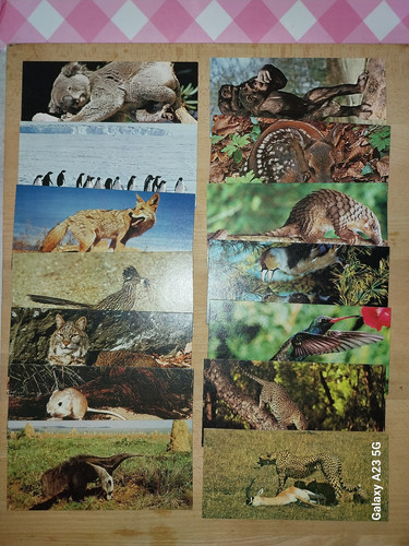 Cartes merveilles monde - merveilles,