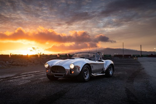 Premium art shelby - shelby, 427