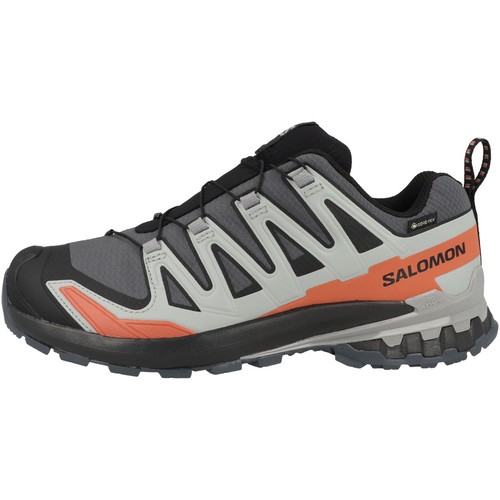 Salomon pro v9 gtx - 3d,