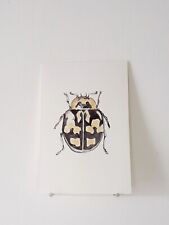 Coccinelle AQUARELLE ORIGINALE