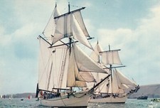 Carte postale 10cmX15cm MER VOILE VOILIER goélette belle poule et étoile marine