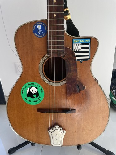 Guitare jazz manouche mauro - jazz,