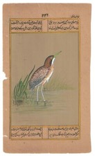 Peinture Miniature D'Oiseau