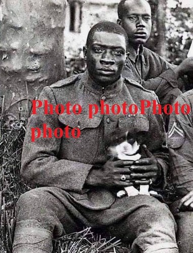 Ww1 aef harlem marne - aef, meuse