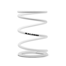 Molla Variatore Malossi
