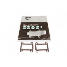 Kit de Réparation Collecteur