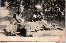 INDOCHINE - tigre tue et place