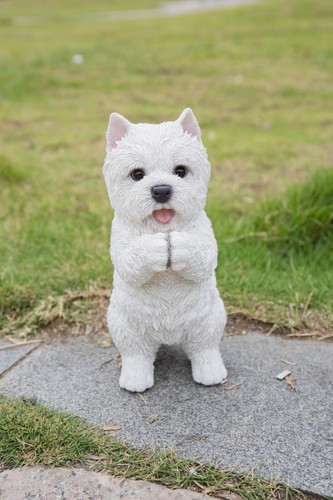 Pet pal playing - pal,