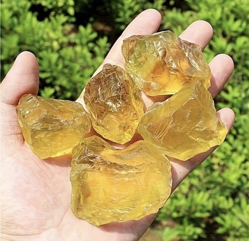 10x citrine brute - 10x,