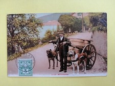 cpa Cachet INTERLAKEN ATTELAGE CHIENS DOG TEAM MILCHKARREN Livreur K. Achermann