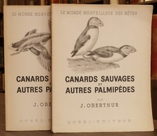 [CHASSE] Oberthur (J.) –