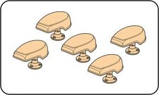 CMK 129-B35036 GERM.NIGHT