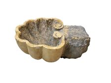 Bénitier en Marbre Jaune De Verona Coquille Maison Salle Bain Église Art Saint