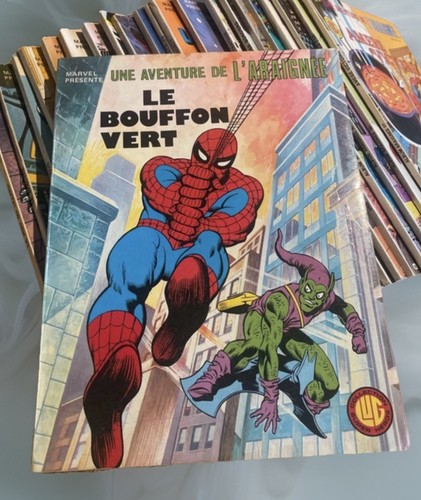 Bouffon vert spiderman - le,