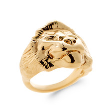Chevalière homme symbole - chevalière,