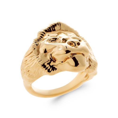 Chevalière homme symbole lion - symbole,