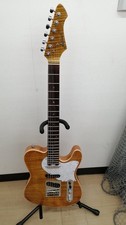 Guitare électrique ARIA PROII