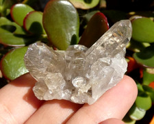 Quartz à Rutiles 4.5x4cm Brésil minéraux collection pierre lithothérapie rare