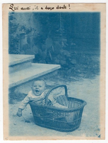 Photo anonyme cyanotype 1900 - cyanotype,