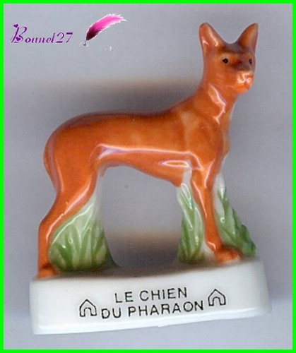 Feve les races chien dog - les, de