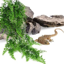  2 Sets Décoration Terrarium