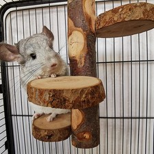Hamster jouets mâcher cage - hamster, à
