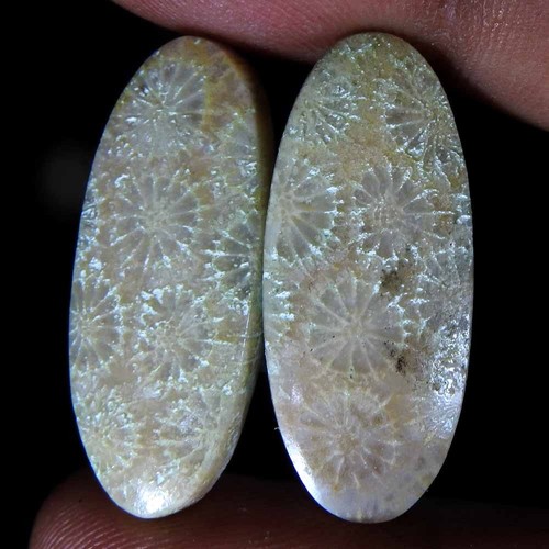 Paire ovale cabochon pierre