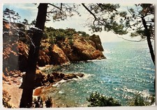 06 CPM Carte postale Cote d'