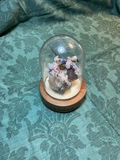 BOITE A MUSIQUE REUGE SOUS GLOBE   Poupées Marthe Philippart  MOZART Berceuse