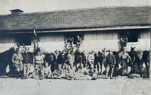 Photo poilu dragon - 8, e