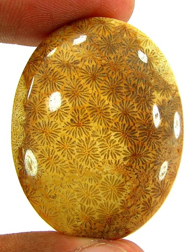 Cabochon pierre corail - cabochon,
