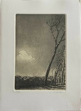 Rodolfo Ceccotti Aquaforte Aquatinta Paysage 35x25 Signée Numérotée 31/50