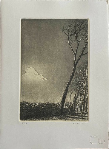 Rodolfo ceccotti aquaforte - ceccotti,