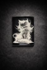 Tableau chat mystique poils