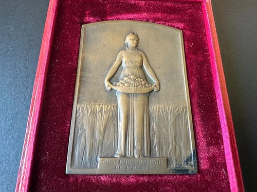 Médaille plaque bronze du - plaque, en