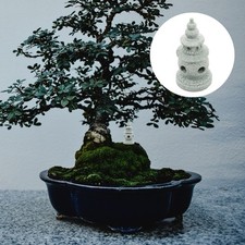  Lanterne Japonaise Pierre