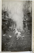 Portrait chasseurs forêt
