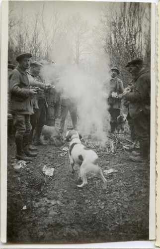 Portrait chasseurs forêt